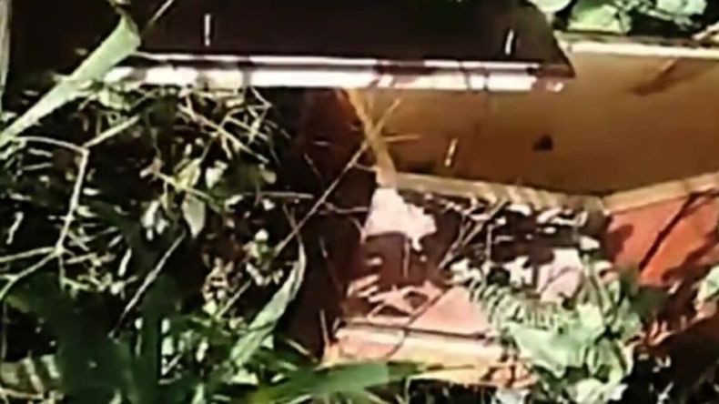 Impactante hallazgo de un ataúd de bebé abandonado cerca de una escuela
