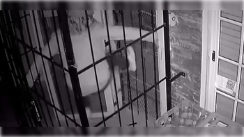 En el video se lo ve al sujeto pateando las rejas para concretar el robo.