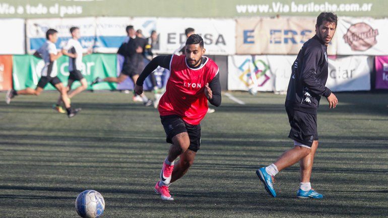 Cipo agarró la calculadora