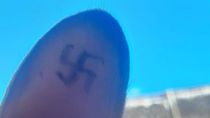 gravisimo: encontraron perros callejeros con la cruz esvastica tatuada en sus orejas