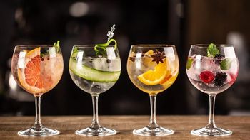 Gin tonic frutal: el secreto que compartió Paulina Cocina para que salga perfecto | LMCipolletti.com Gin tonic frutal: el secreto que compartió Paulina Cocina para que salga perfecto