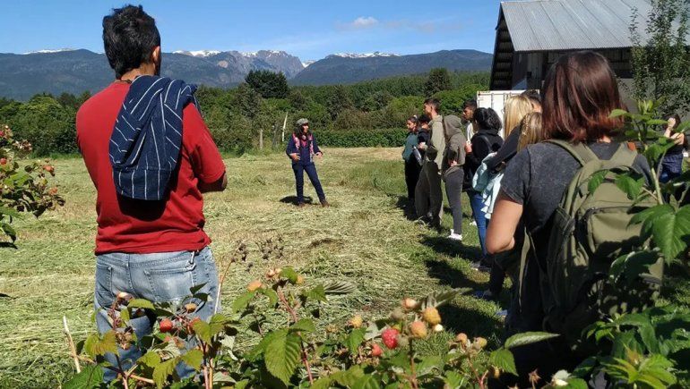 Estudiantes de Río Colorado realizan prácticas profesionalizantes