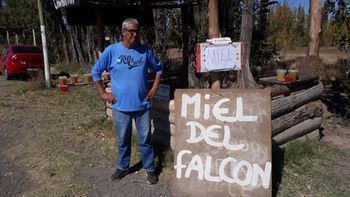 El vendedor de miel sin su Falcón.