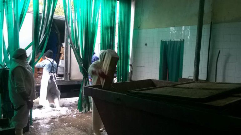 Decomisaron 5 mil kilos de carne en rutas rionegrinas