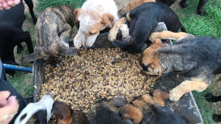 Un nuevo grupo de jóvenes se suma al refugio de la Isla Jordán