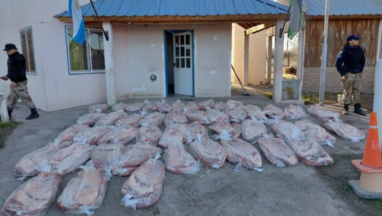 Otra vez, una camioneta abarrotada de carne ilegal