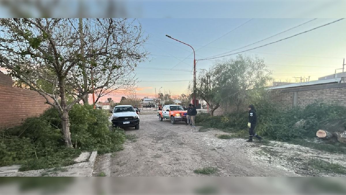 Precaución por viento y períodos de inestabilidad en el Alto Valle.