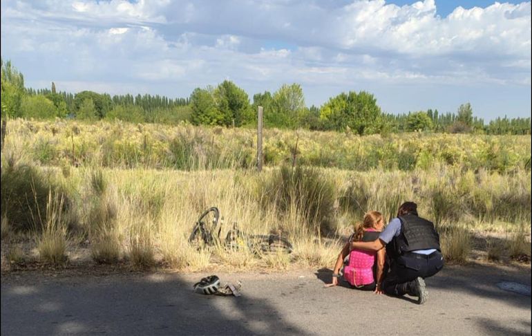 La formación de jaurías de perros y los ataques son una expresión del abandono y la falta de políticas públicas para controlar la población animal. La formación de jaurías de perros y los ataques son una expresión del abandono y la falta de políticas públicas para controlar la población animal.