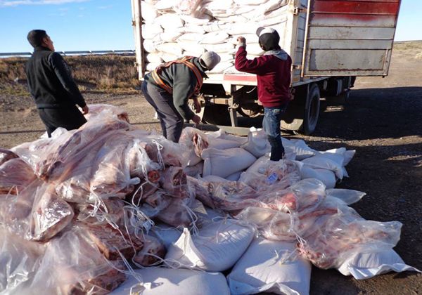 Funbapa decomisó otros 4 mil kilos de carne con hueso