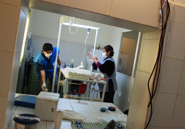 Sigue adelante la esterilización