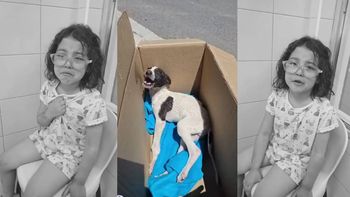 el llanto de pili que conmovio a la region y un video que exige decir basta al maltrato animal