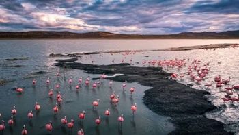 La laguna que revivió tras 12 años y recuperó su encanto natural: cómo llegar a la belleza rionegrina del milagro. La laguna que revivió tras 12 años y recuperó su encanto natural: cómo llegar a la belleza rionegrina del milagro.
