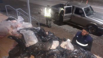 secuestraron 347 kilos de carne ilegal que venia a cipolletti
