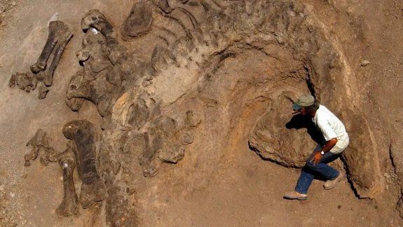 Capacitarán en gestión de patrimonio arqueológico y paleontológico