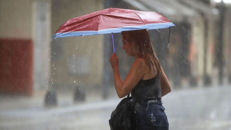 Cómo es el paraguas inteligente viral que te sigue y te deja las manos libres