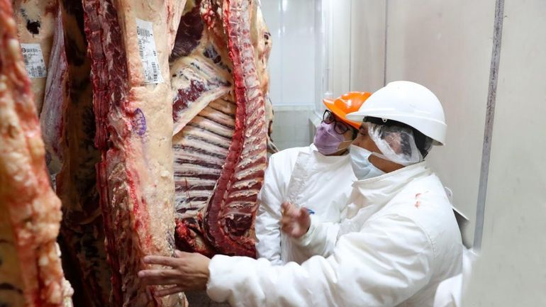 Chau a la media res: ¿desde cuándo entra en vigencia?