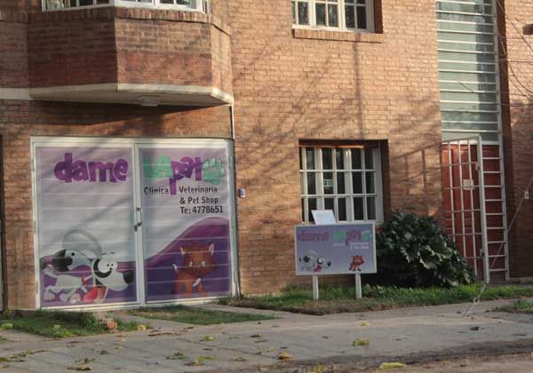 Detienen a dos jóvenes tras violento asalto a veterinaria