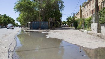 quejas en las 300 viviendas por  los gatos y la basura de los vecinos