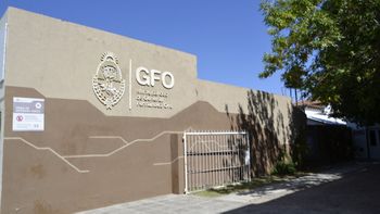 Desde el municipio de Fernández Oro dieron detalles acerca de la modalidad.