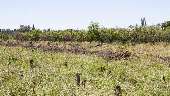Chacareros que no producen no quieren pagar el impuesto local