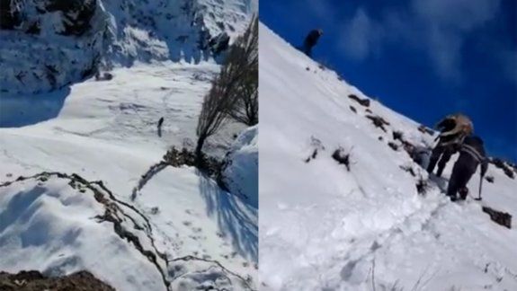 Línea Sur: rescataron a 25 chivas atrapadas en la nieve