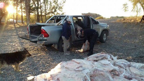 La Policía Caminera decomisó 85 costillares en Catriel.