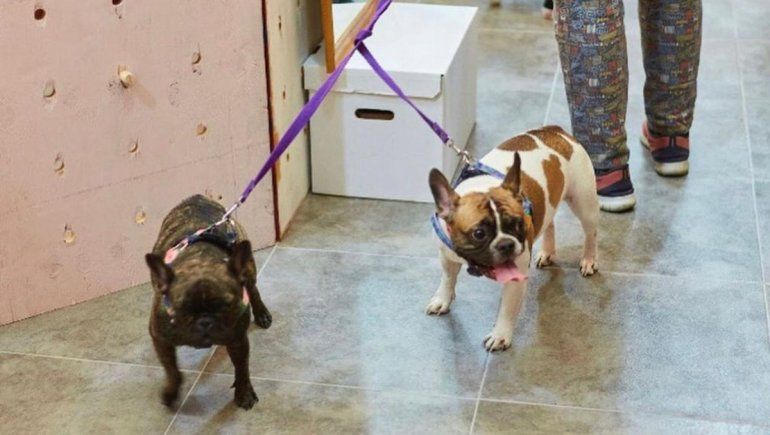 Vuelve la feria Le Chic: moda y gastronomía para el fin de semana XL 