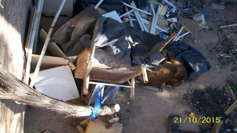 Denuncian que lo dejaron morir de hambre y sed