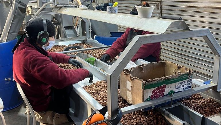 Río Negro apuesta al producción y lanza un programa extraordinario de hasta $500 millones: cómo acceder.