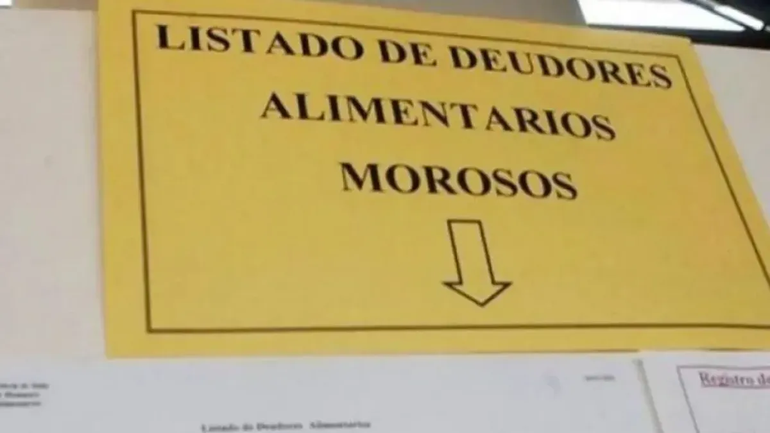 La madre había solicitado a la Justicia avanzar en la inscripción de Deudores Alimentarios y la suspensión de la licencia de conducir.