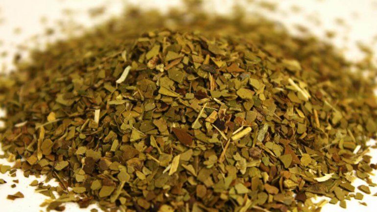 En abril se consumió más de 24 millones de kilos de yerba