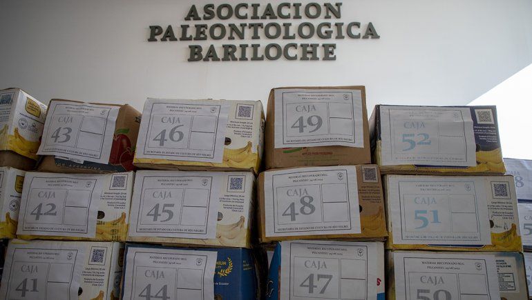 Recuperaron 90 cajas con fósiles del ex museo del Lago Gutiérrez