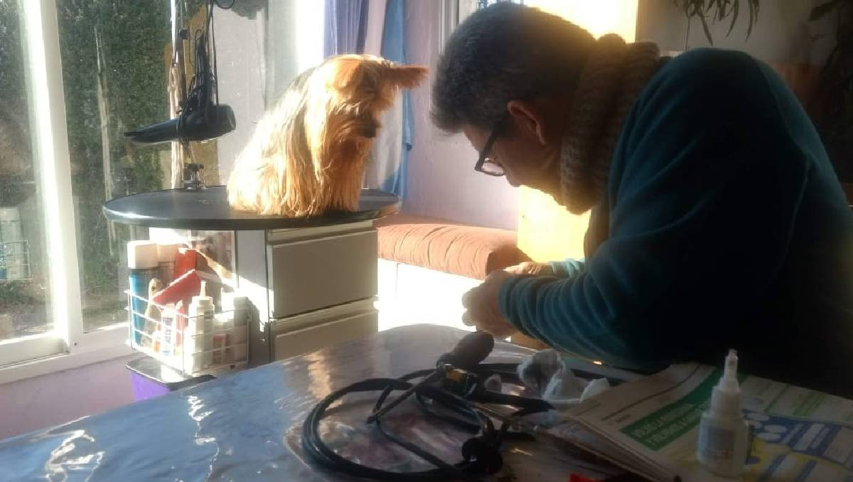 Víctor, el afilador cipoleño que recorre el país con su taller móvil. Lo acompaña su incondicional Marianela.