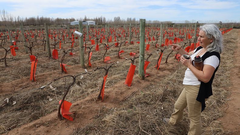 Rosana Jurio, de Impase, la bodega neuquina que nació del amor por la tierra y los sueños hechos realidad.