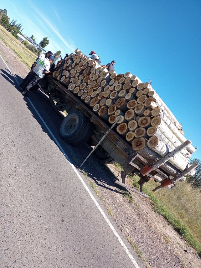 Decomisaron 10 toneladas de leña transportada ilegalmente.