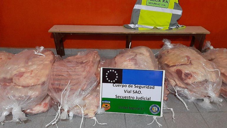 Decomisaron más de 30 costillares que eran transportados ilegalmente