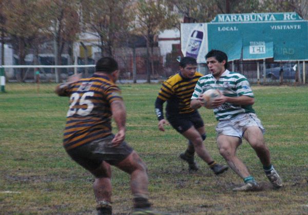 Programa de partidos de rugby