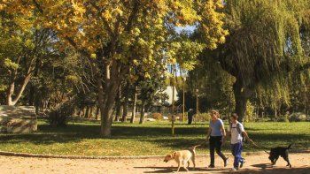 Este 21 de marzo marca la llegada del otoño a Cipolletti. Este 21 de marzo marca la llegada del otoño a Cipolletti.