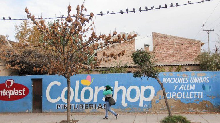 Las palomas se aquerencian con los lugares en donde se las trata bien.