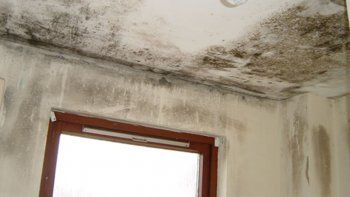 demando a su vecina porque una perdida de agua destruyo su casa