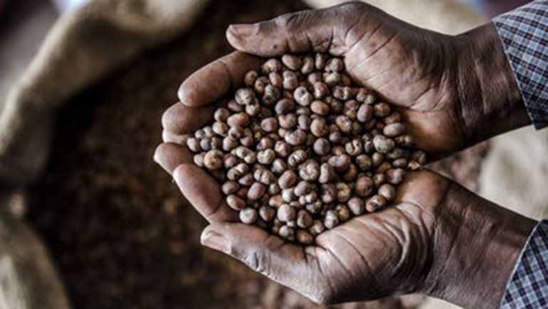 Agricultura proveerá de semillas a penales provinciales