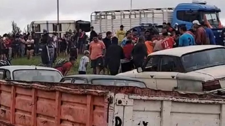 El camión con vacas volcó en Río Cuarto y los animales fueron faenados.