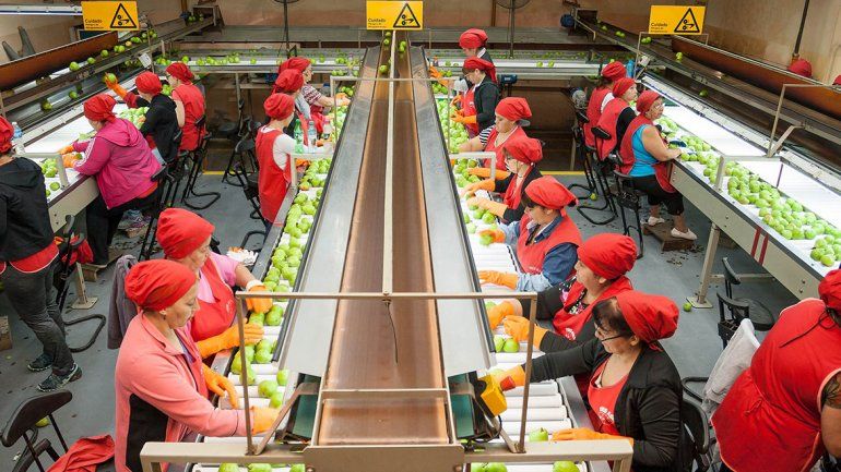 La fruta del valle deberá cumplir estos requisitos para entrar a Brasil