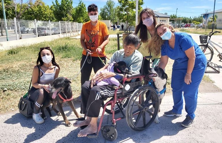 Cuatro perros llevaron su ternura y su amor a pacientes del Hospital