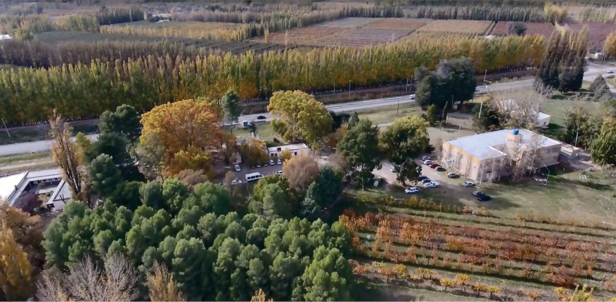Agronomía abre sus puertas para tentar a estudiantes