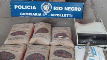 la viuda negra que robo en una obra volvio a la calle