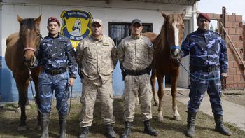 Parte del equipo de la División Montada de la Policía, en el predio de la Isla Jordán. 