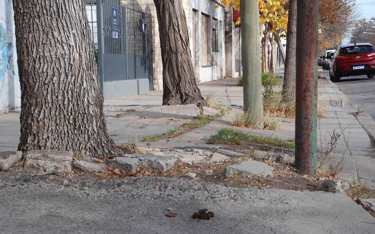 Impulsan plan para mejorar las veredas de Cipolletti