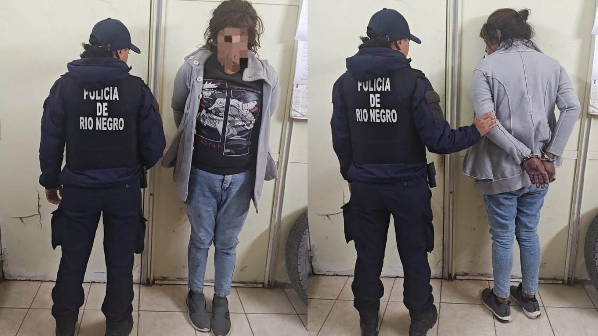 La mujer atrapada por policías de la Comisaría 32 en el interior de la tienda de la calle La Esmeralda.&nbsp;