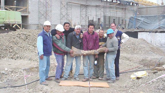 El dinosaurio que se encontró debajo de la bodega cumple 19 años